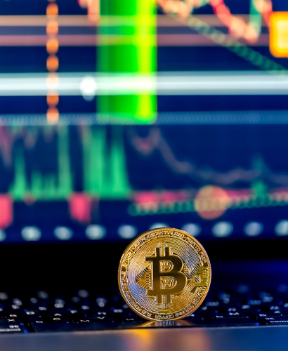 Team von Haltrovex bei der Marktanalyse